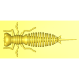 Форма з каменю схожа на Larva 4" 