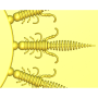 Форма з каменю схожа на Larva 4" 